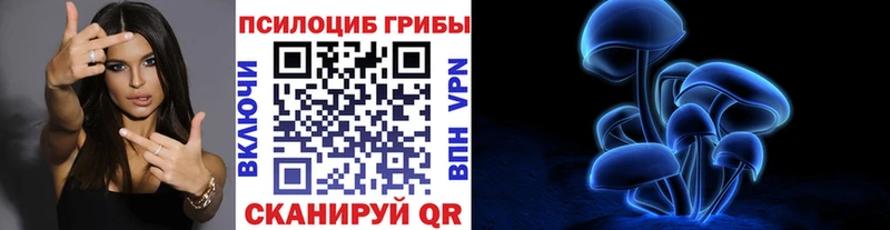 Псилоцибиновые грибы MAGIC MUSHROOMS  Щучье 